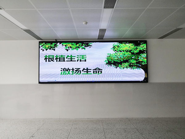 东旅国际旅行社-洲明...